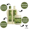 Kit Bio Extratus Pós Quimica Abacate e Jojoba