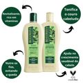 Kit Antiqueda Bio Extratus Jaborandi - Shampoo + Condicionador
