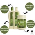Kit Bio Extratus Pós Quimica Abacate e Jojoba