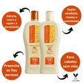 Kit Nutritivo Bio Extratus Mel Chia e Colágeno - Shampoo + Condicionador