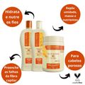 Kit Nutritivo Bio Extratus Mel Chia e Colágeno