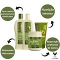 Kit Bio Extratus Pós Quimica Abacate e Jojoba Com 4
