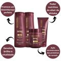 Kit Bio Extratus Shitake Plus Com 4