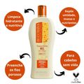 Shampoo Nutritivo Bio Extratus Mel Chia e Colágeno 500ml