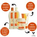 Kit Nutritivo Bio Extratus Mel Chia e Colágeno Com 4