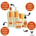 Kit Nutritivo Bio Extratus Mel Chia e Colágeno Com 5