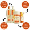 Kit Nutritivo Bio Extratus Mel Chia e Colágeno Com 4
