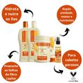 Kit Nutritivo Bio Extratus Mel Chia e Colágeno Com 5