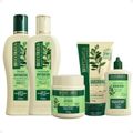 Kit Bio Extratus Antiqueda Jaborandi Com 5