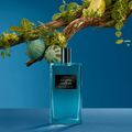 Perfume Victorio & Lucchino Frescor Mediterrâneo Masculino Eau de Toilette 150 ml 150 ml