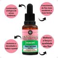 Tônico Noturno Lola Densidade 3% Baicapil 25ml