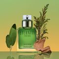 Perfume Calvin Klein Eternity Masculino Eau de Parfum 100 ml 100 ml