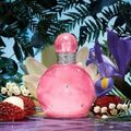 Fantasy Sheer Feminino Eau de Toilette