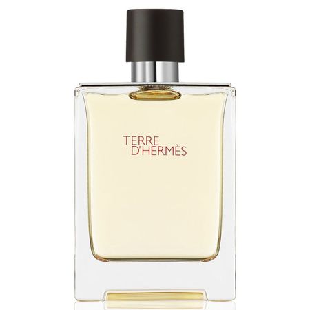 Terre-D'Hermés-Eau-De-Toilette-Masculino--1
