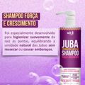 Widi Care Juba Shampoo Transição Capilar 500ml