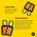 Kit Lola From Rio Pinga! Cronograma Capilar Oil (3 produtos)