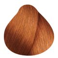L'Oréal Professionnel Dia Color 8 Louro Claro - Tonalizante 60g