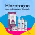 Bio Instinto Ameixa Negra - Kit Hidratação Nutrição e Realce da Tonalidade (4 Produtos)