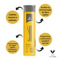 Condicionador Avora Splendore Transition 300ml