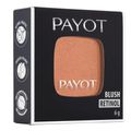 Blush Payot Retinol Terracota 6g