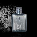 Ulric Varens UDV Eau de Toilette - Perfume Masculino 100ml 100ml