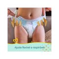 Fralda Pampers Premium Care P