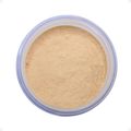 Pó Solto Facial Matte Payot Cor 2