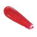 Gloss Labial Payot Cor Floripa 4,5g