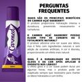 Hidratante Labial Carmed Oakberry Açai Efeito Gloss Com Cor 10g