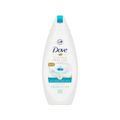 Sabonete Líquido Antibacteriano Dove Cuida e Protege 250ml 250ml