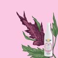 Yellow Liss Shampoo 500ml