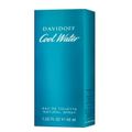 Davidoff Cool Water Perfume Maculino Perfume Masculino Eau de Toilette 40ml