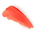 Gloss Labial Ruby Rose Radiant Kiss Rk10