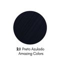 Coloração Jacques Janine 2.1 Preto Azulado 50g