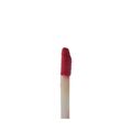 Gloss Labial Vult Glossy Lips 24/7 Rubi 5,2ml