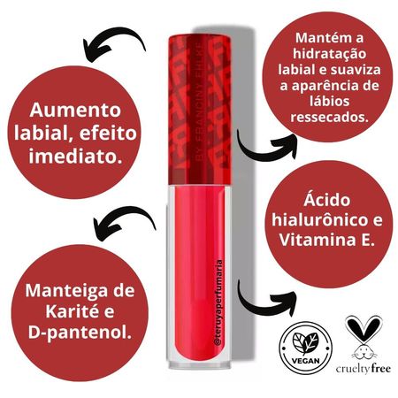Gloss-Labial-Fran-By-Franciny-Ehlke-Lipchilli-4,5ml--2