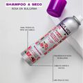 Shampoo a Seco Nick Vick 3 Und