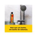 Sabonete Líquido para o Corpo Lux Botanicals 300ml