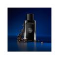 Perfume Banderas The Icon Masculino Eau de Parfum 100ml 100ml