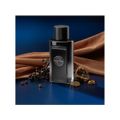 Perfume Banderas The Icon Masculino Eau de Parfum 100ml 100ml