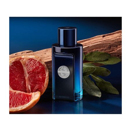 Perfume-Banderas-The-Icon--Masculino-Eau-de-Toilette-100ml-100ml--2