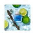 Perfume Banderas Blue Seduction Masculino Eau de Toilette Volume 100ml