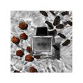 Perfume Banderas Seduction in Black Masculino Eau de Toilette 100ml 100ml