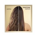Shampoo e Condicionador Pantene Preenche & Blinda Queratina
