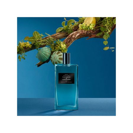 Perfume-Victorio-&-Lucchino-Frescor-Mediterrâneo-150ml--9