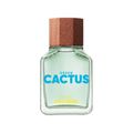 Perfume Benetton Green Cactus  Masculino 100ml