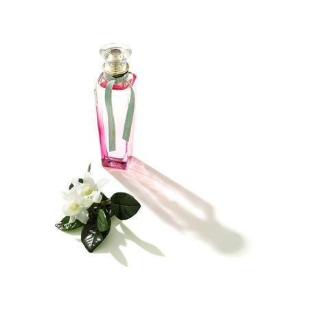 Perfume-Adolfo-Dominguez-Agua-Fresca-de-Gardenia-120ml--8