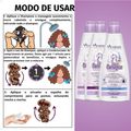 Kit Arvensis Cachinhos Naturais Cabelos Crespos e Crespíssimos: Shampoo 300ml, Condicionador 300ml e Ativador de Cachos 300ml