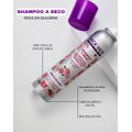 Shampoo a Seco Nick Vick