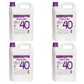 Kit Água Oxigenada Beira Alta 40 Volumes 4l C/4